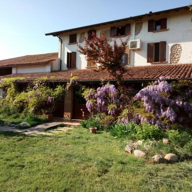 Вілла Agriturismo La Pace Валеджо-суль-Мінчо Екстер'єр фото